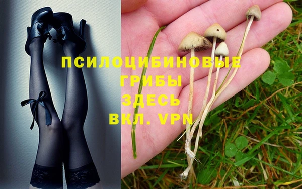 mix Корсаков